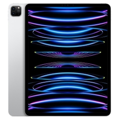 iPad Pro 2022 M2 12.9 inch 256GB WIFI + 5G Gray 99% Pin 99%