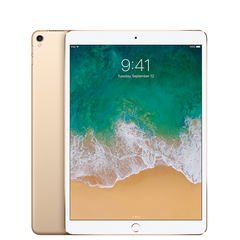 iPad Pro 10.5 64GB WIFI + 4G - Máy Cũ 99%