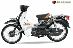 CUB 81 HYOSUNG
