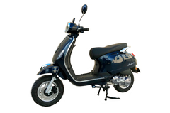 •	DIBAO 50CC PANSY XS