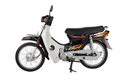 XE MÁY DREAM 50CC