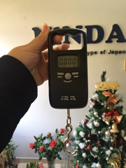 Cân móc treo mini cầm tay NiNDA SN50T tải trọng 50kg nhỏ gọn
