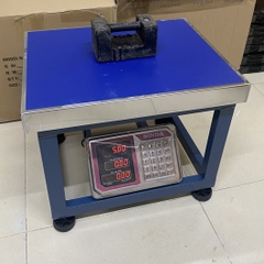 Cân ghế điện tử NiNDA AD6-500 cân tối đa 500kg