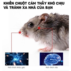 Sáp Gel Đuổi Chuột Nhật Bản