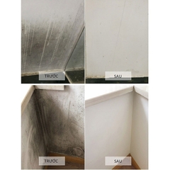 Xịt Tẩy Nấm Mốc Tường Đa Năng
