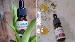 Diệt Kiến, Gián Sinh Học Anbio