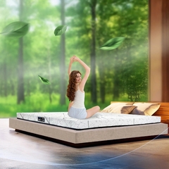 Nệm Cao Su Dunlopillo Herit – 10cm