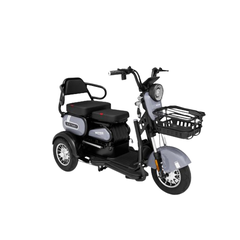 Xe 3 bánh điện Victory Better