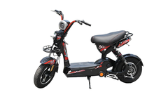 Xe Đạp Điện Nijia 133C