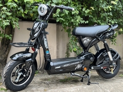 Xe đạp Điện Aimia 133