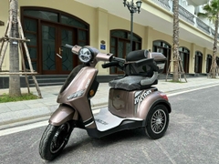 Xe máy điện 3 bánh victory city