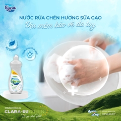 Nước rửa chén Clara - Hương sữa gạo - chai 750g