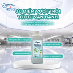 Clara Anti-Slip Pro – Chống Trơn Trượt
