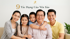 9 tác dụng của yến sào: Không khác tiên dược nếu ăn đúng cách