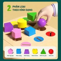 Đồ chơi Montessori phân loại hình khối thả xu 12 ô