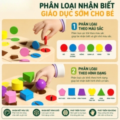 Đồ chơi Montessori phân loại hình khối thả xu 12 ô