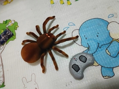 Đồ chơi mô hình nhện điều khiển từ xa RC cỡ lớn có lông lá như thật, xoay tròn 360 độ và mắt phát sáng vui nhộn