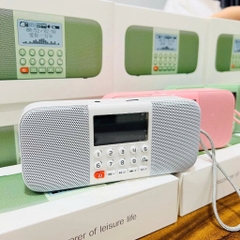 Loa Tắm Ngôn Ngữ Rolton E800 Cho Bé – Loa Kép Stereo, Màn Hình Hiện Tên Bài, Bluetooth, Thẻ Nhớ