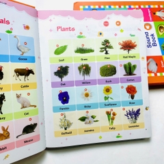 Đồ Chơi Âm Thanh First English Words Sound Book – 470+ Âm Thanh, Có Phím Đàn Cho Bé