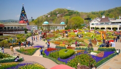 HÀ NỘI – SEOUL - ĐẢO NAMI – THÁP NAMSAN – HANOK BUKCHON – EVERLAND –- CHỢ HONGDAE – THƯ VIỆN STARFIELD 5N/ 4Đ