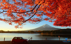 TOKYO - OSAKA- KYOTO-NÚI PHÚ SĨ - TOKYO