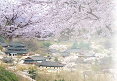 TOUR GYEONGNAM & BUSAN