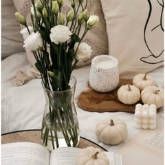 Bình thủy tinh cắm hoa, trang trí sáng tạo IKEA TIDVATTEN