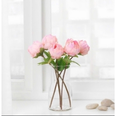 Bình thủy tinh cắm hoa, trang trí sáng tạo IKEA TIDVATTEN