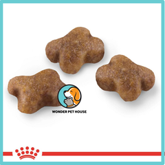 Hạt Royal Canin Mother & Baby Cat Cho Mèo Từ 0-2 tháng tuổi và mèo mẹ