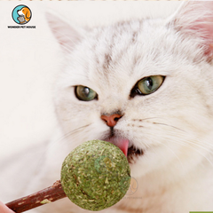 Kẹo Catnip Cây Gỗ Thơm Ngon Dành Cho Mèo
