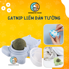 Kẹo Cỏ Mèo Dán Tường Hình Mèo