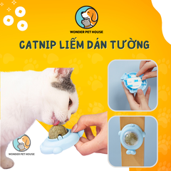Kẹo Cỏ Mèo Dán Tường Hình Hải Cẩu