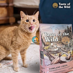 Hạt Taste Of Wild Cho Mèo mọi lứa tuổi