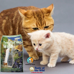 Hạt Taste Of Wild Cho Mèo mọi lứa tuổi