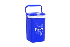 Thùng đá Minice 1L / 2L / 3L DUY TÂN nhựa PP, PU giữ nhiệt, bình giữ nhiệt mini quai xách, giải khát
