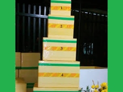 Thùng mút thùng xốp 39 x 29 x 33.5 cm dùng đóng hàng hóa đựng hải sản hoa quả rau củ trái cây trồng cây