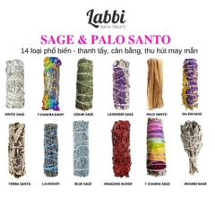 SAGE & PALO LABBI XÔ CHAKRA 7 MÀU