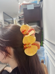 Cặp tóc hoa Líu Lô 129