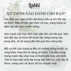 SAGE & PALO LABBI XÔ CHAKRA 7 MÀU