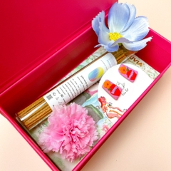 Hộp đựng chocolate thanh lớn Alluvia