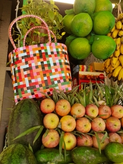Emma Checkboard Shopper | Multicolor
