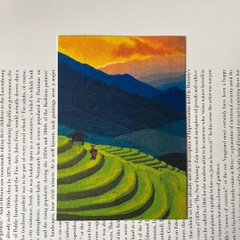 Thiệp Việt Nam Mai Lê