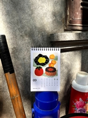 Lịch 2025 Summer Project No.8