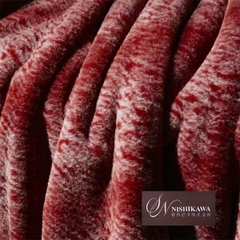 Chăn lông rái cá Nishikawa Imprial Luxury 4,5kg, KT 2x2m3 siêu mướt