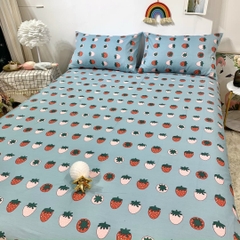 Ga Gối Cotton 100% Cao Cấp – Sự Lựa Chọn Hoàn Hảo Cho Giấc Ngủ An Lành