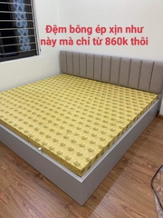 Đệm bông ép gấm vàng giá cực kỳ ưu đãi