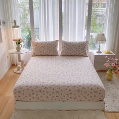 Sét ga gối Cotton Icy siêu mềm mát