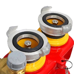 Trụ tiếp nước PCCC 2 cửa ShinYi