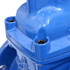 Van cổng ty chìm nắp chụp ShinYi