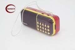 Máy nghe pháp BKK B851